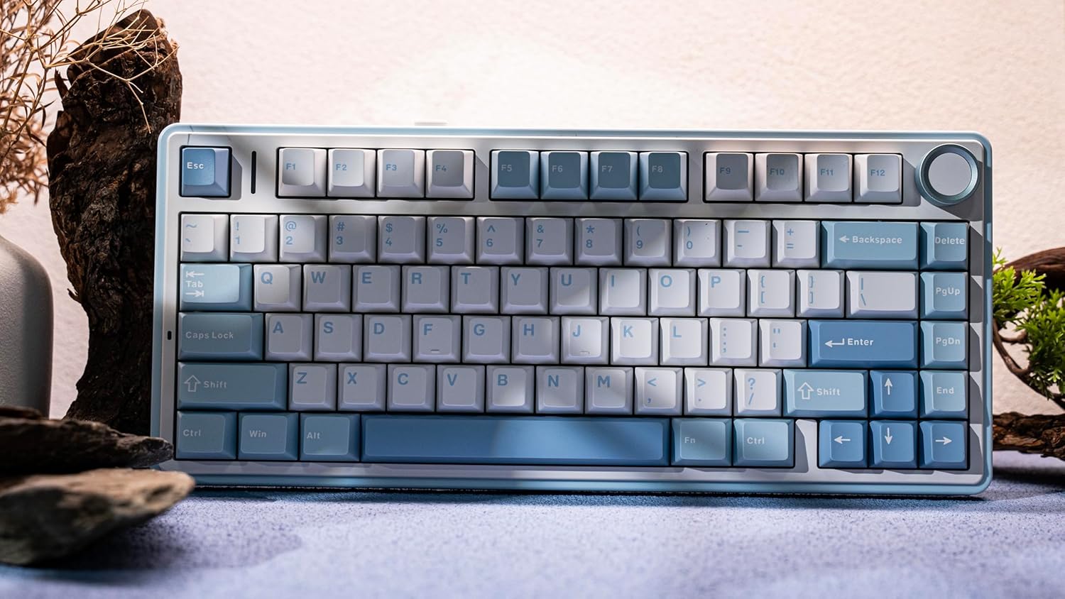 B0CW8Z2CCZ-image-8