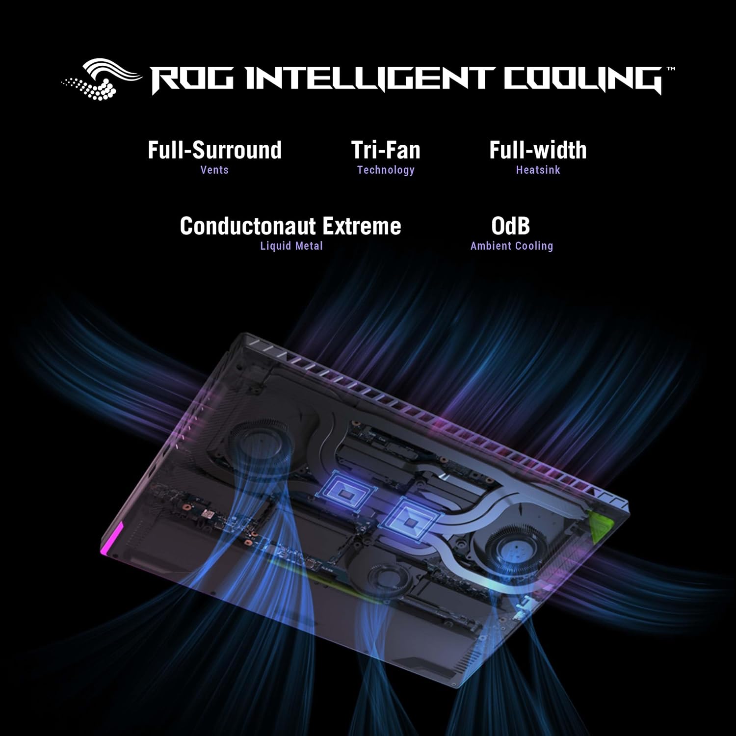 B0CX9BLZHC-image-2