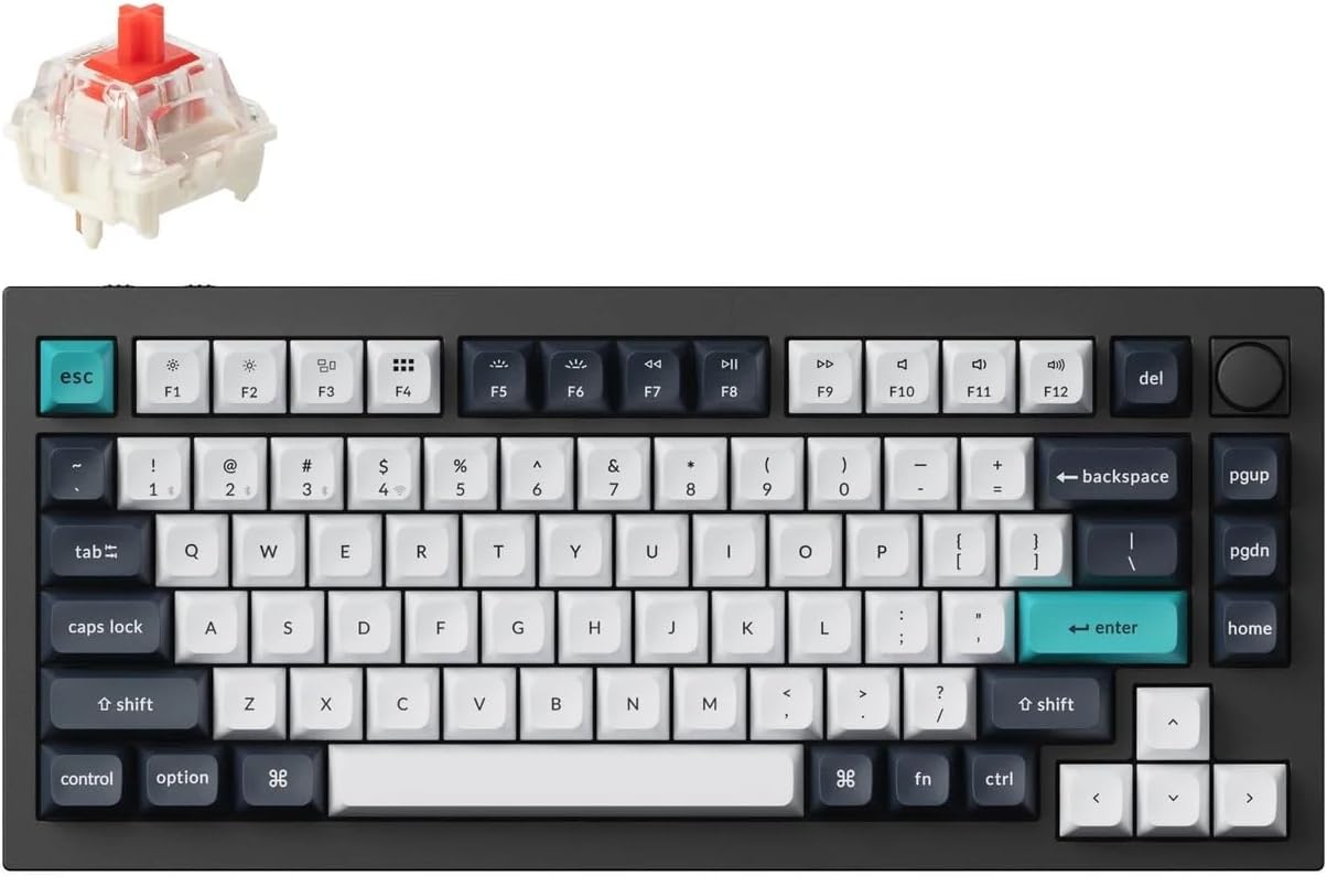 B0CZYQ971F-image-0