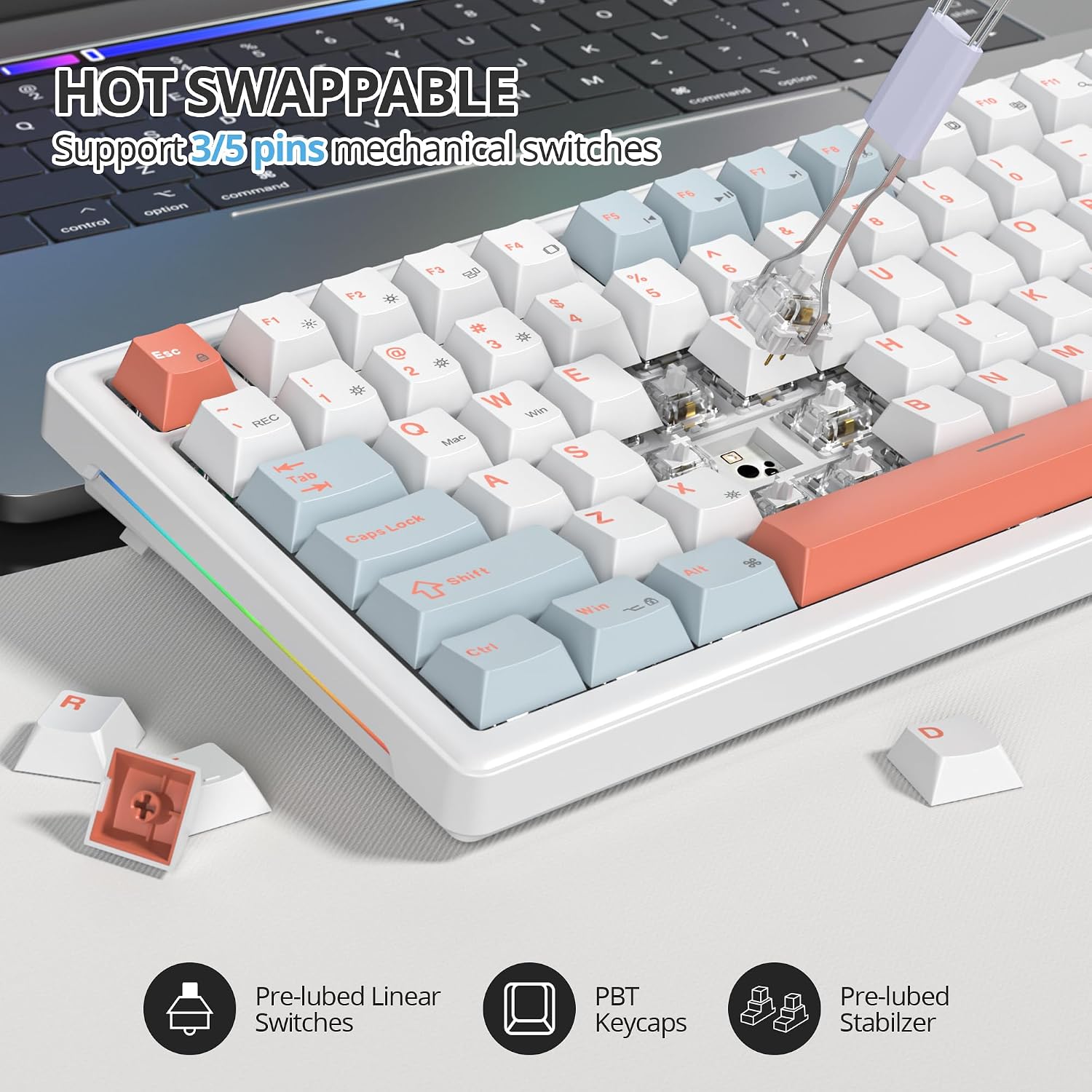B0DDTDPV55-image-1