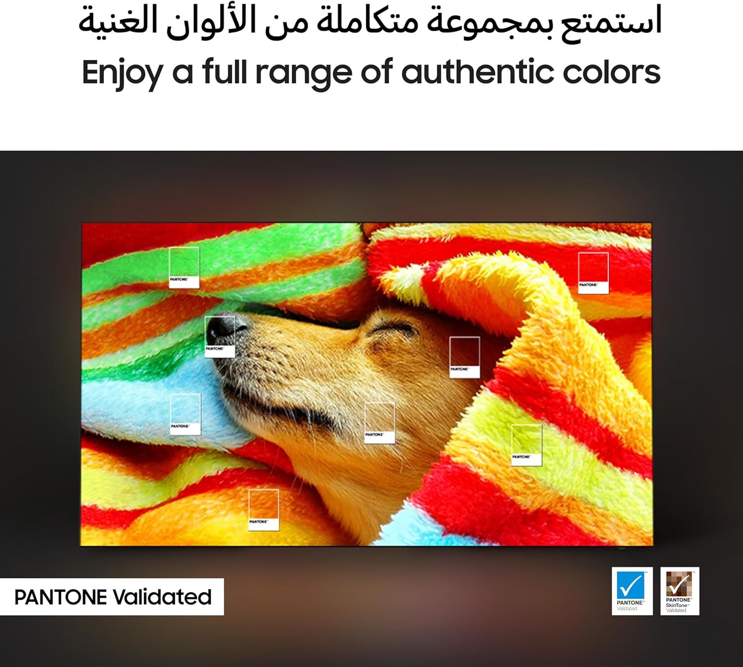 B0DFVTD5QW-image-6
