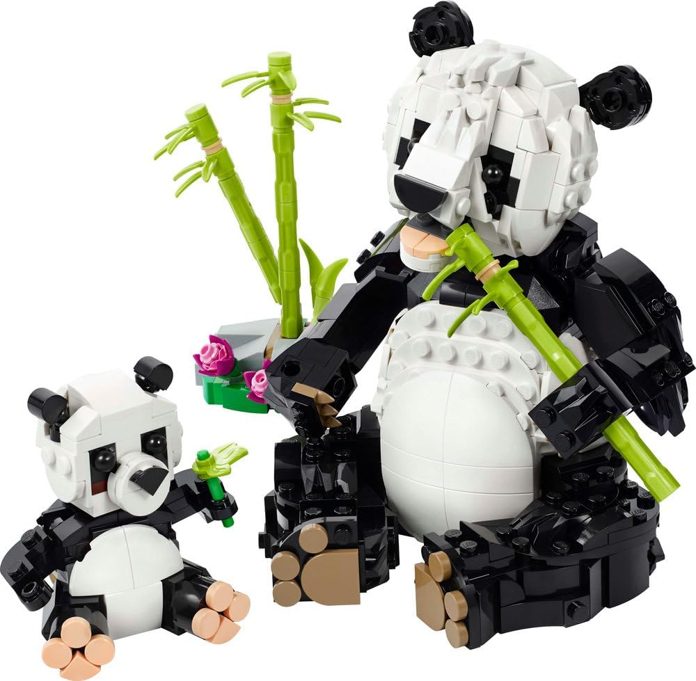B0DHSF89CQ-image-7