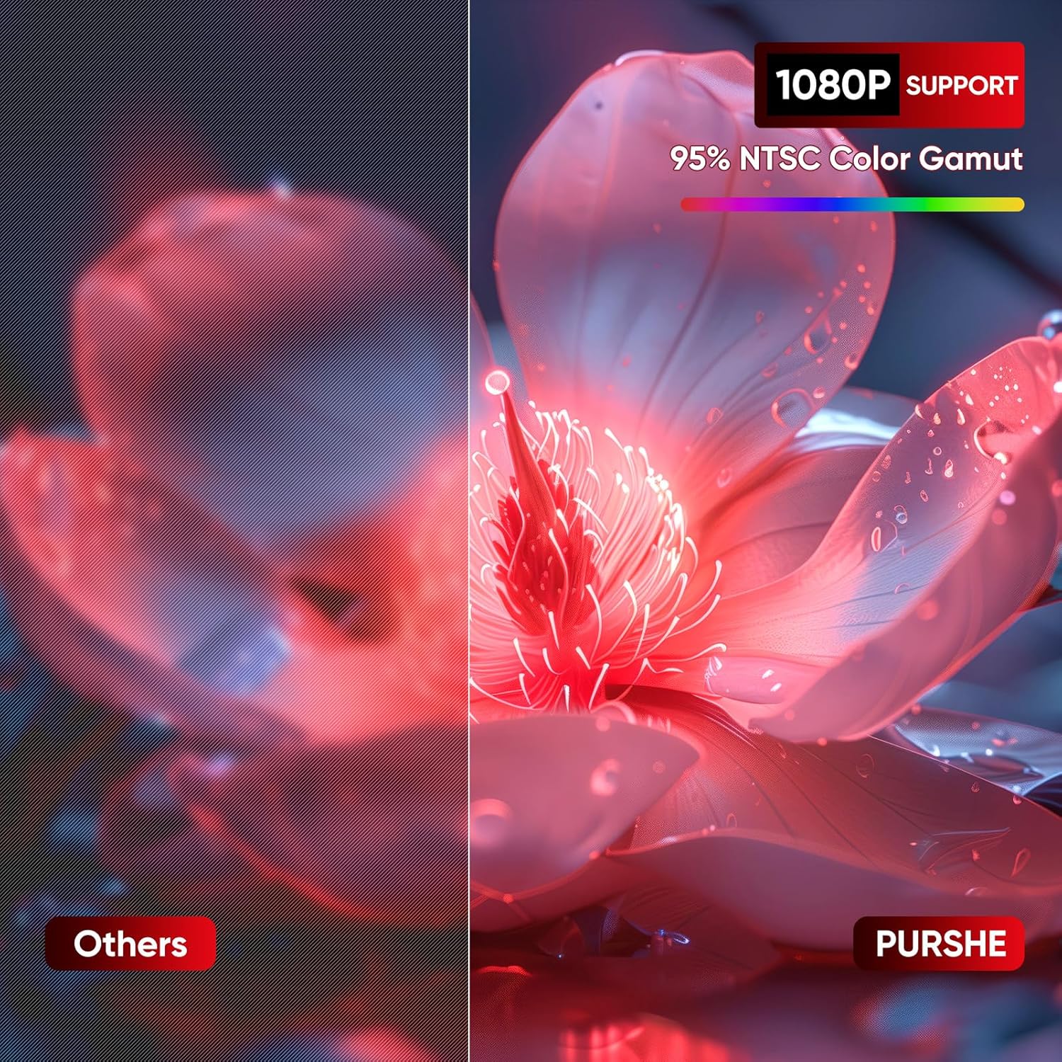 B0DQ7CBL9X-image-2