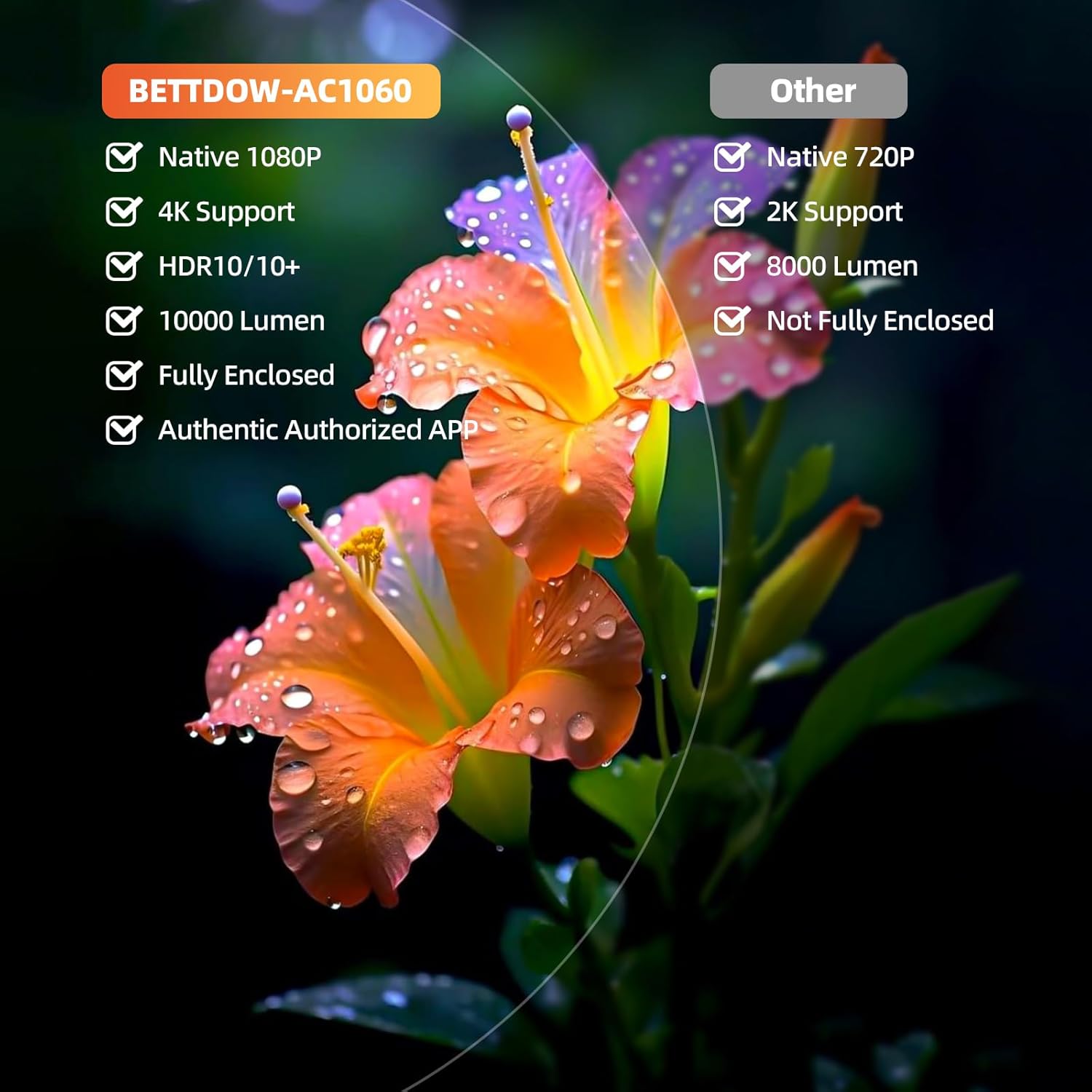 B0DRHPC5C9-image-2