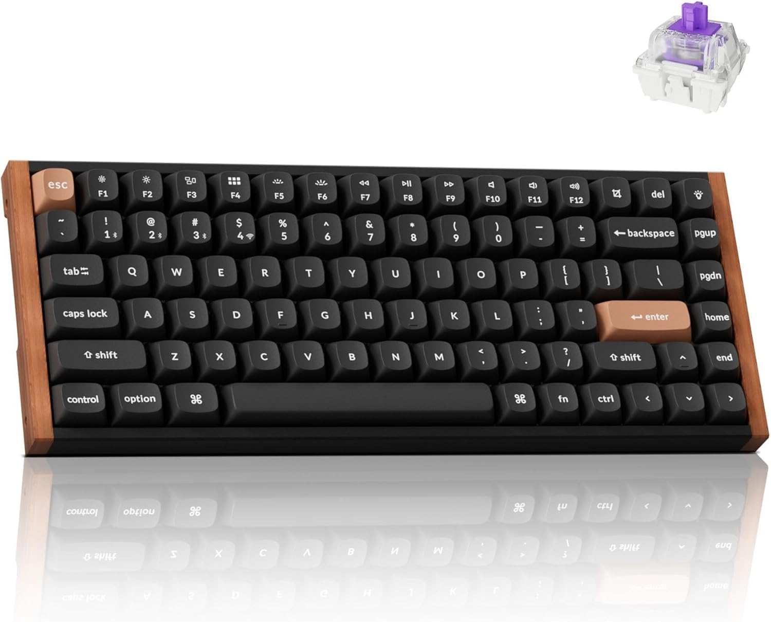 B0DSG319ZM-image-0