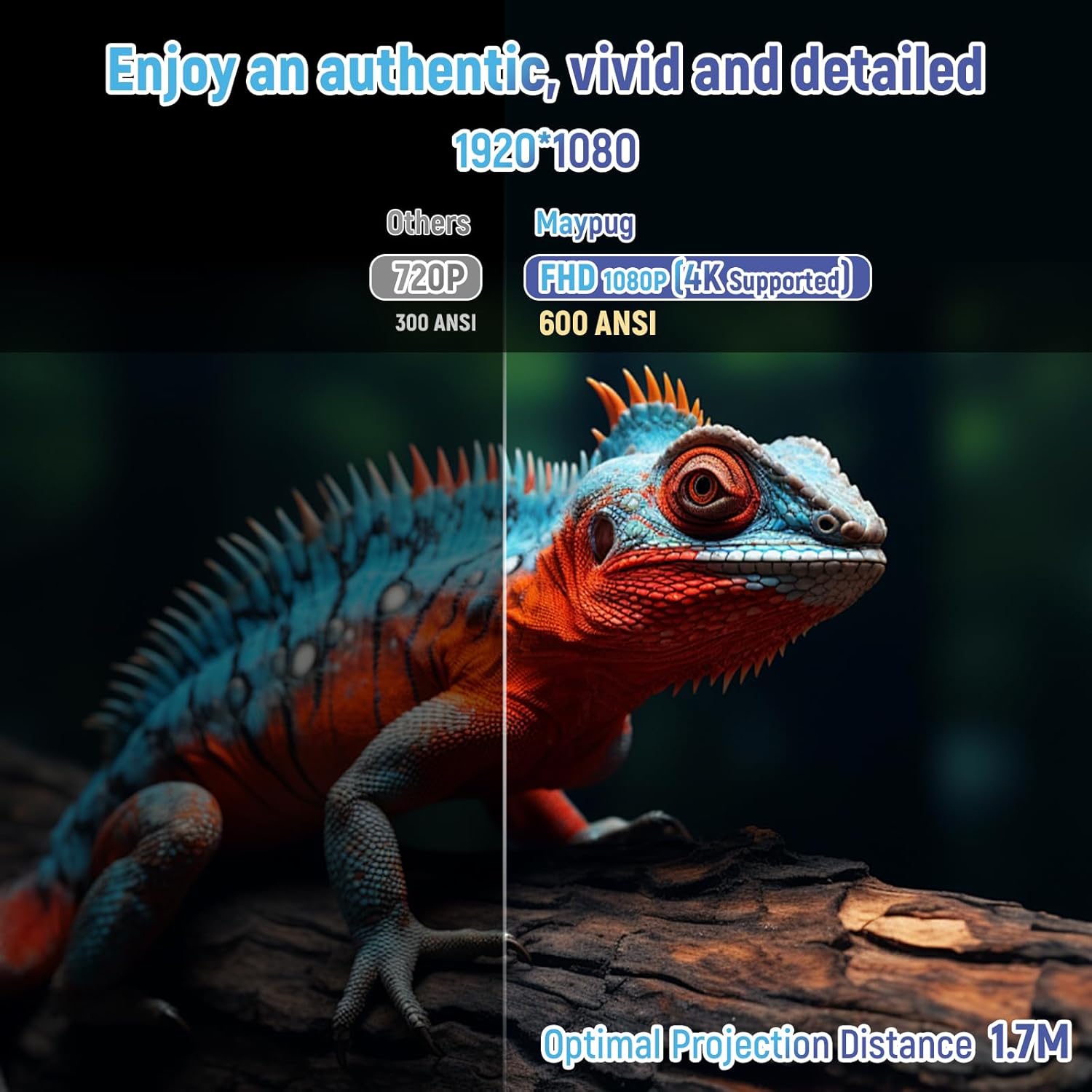 B0DSPRSP5X-image-2