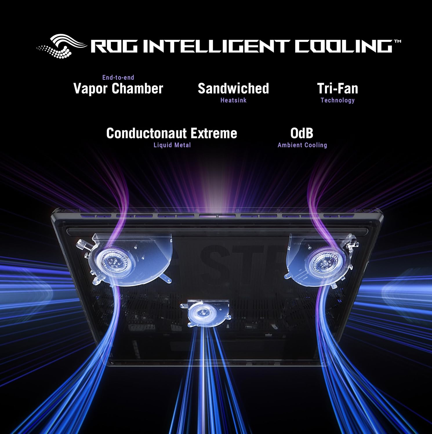 B0DW1SB1F9-image-3