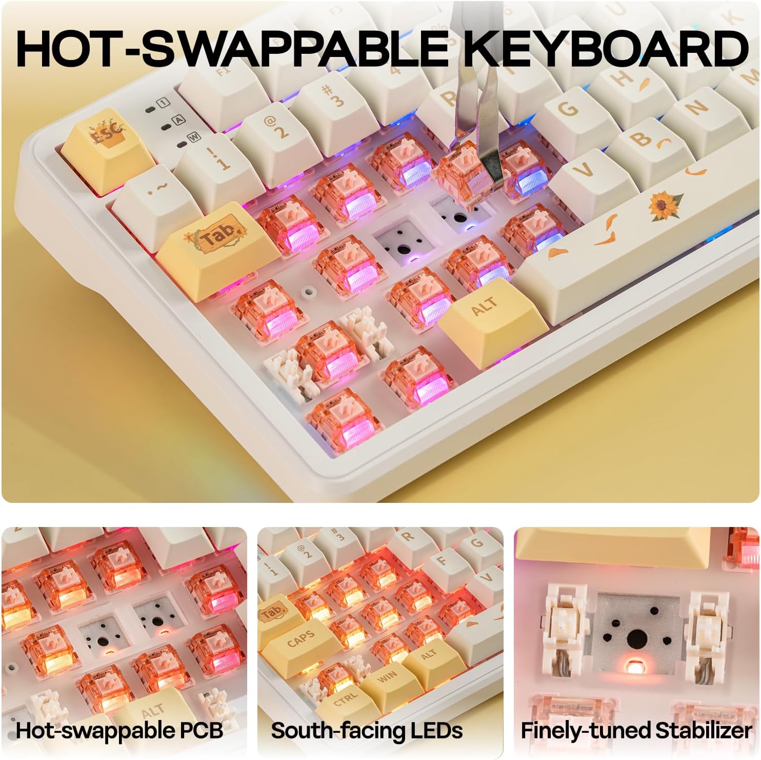 B0F38F1KTX-image-5