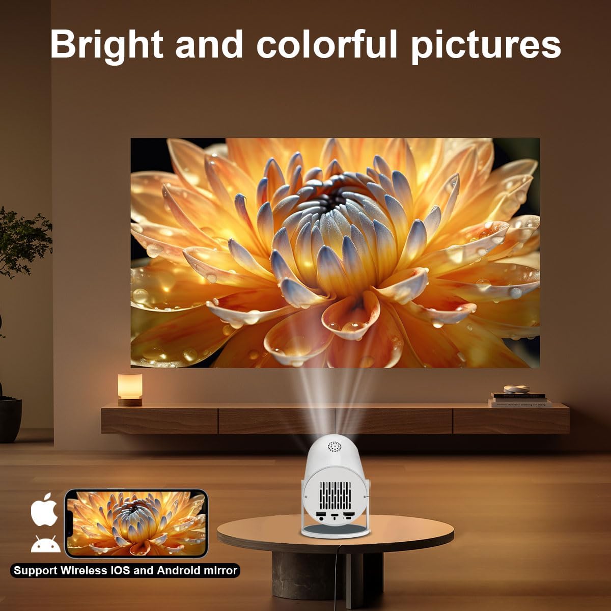 B0F66MM3D4-image-1