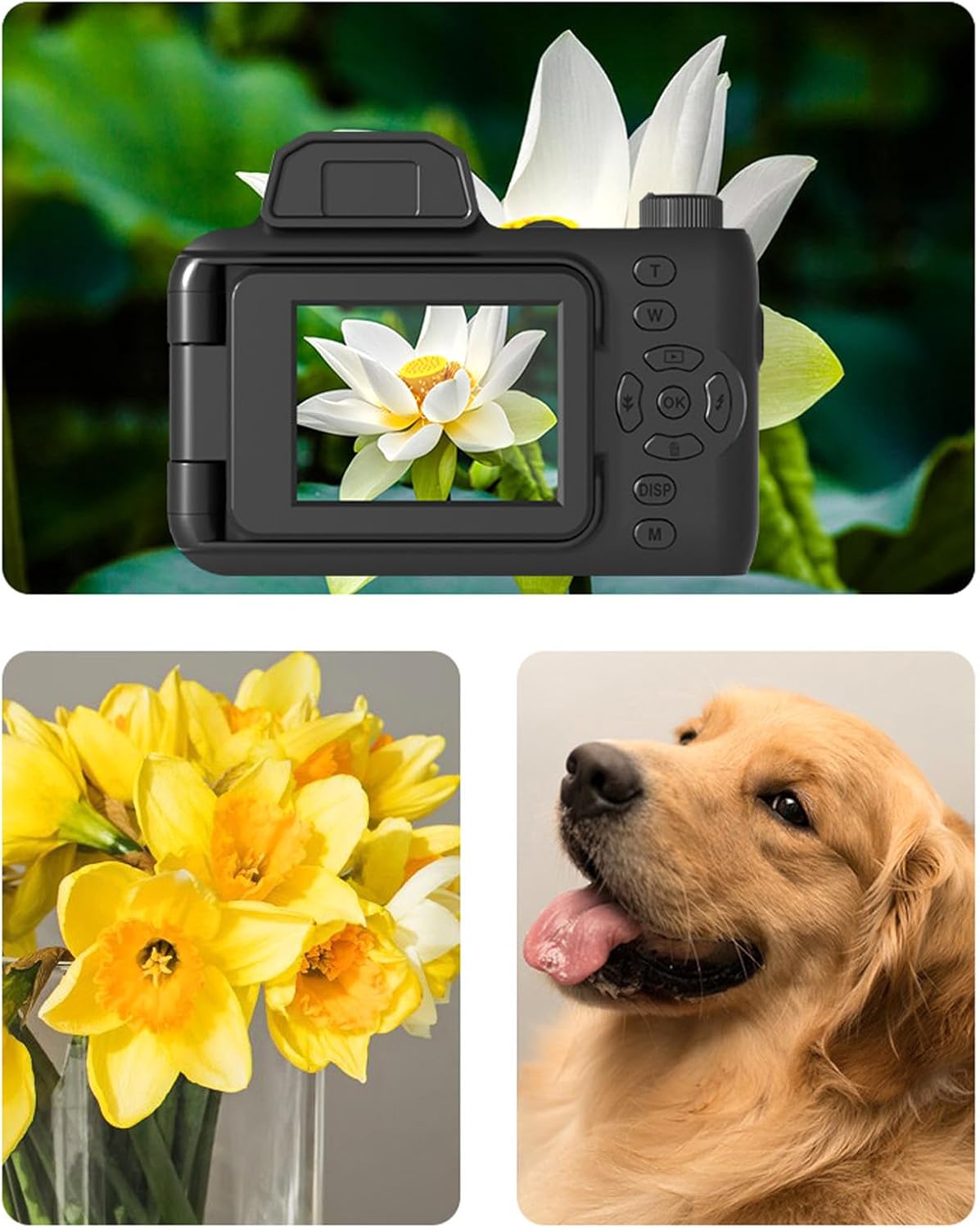 B0F8C486GC-image-7