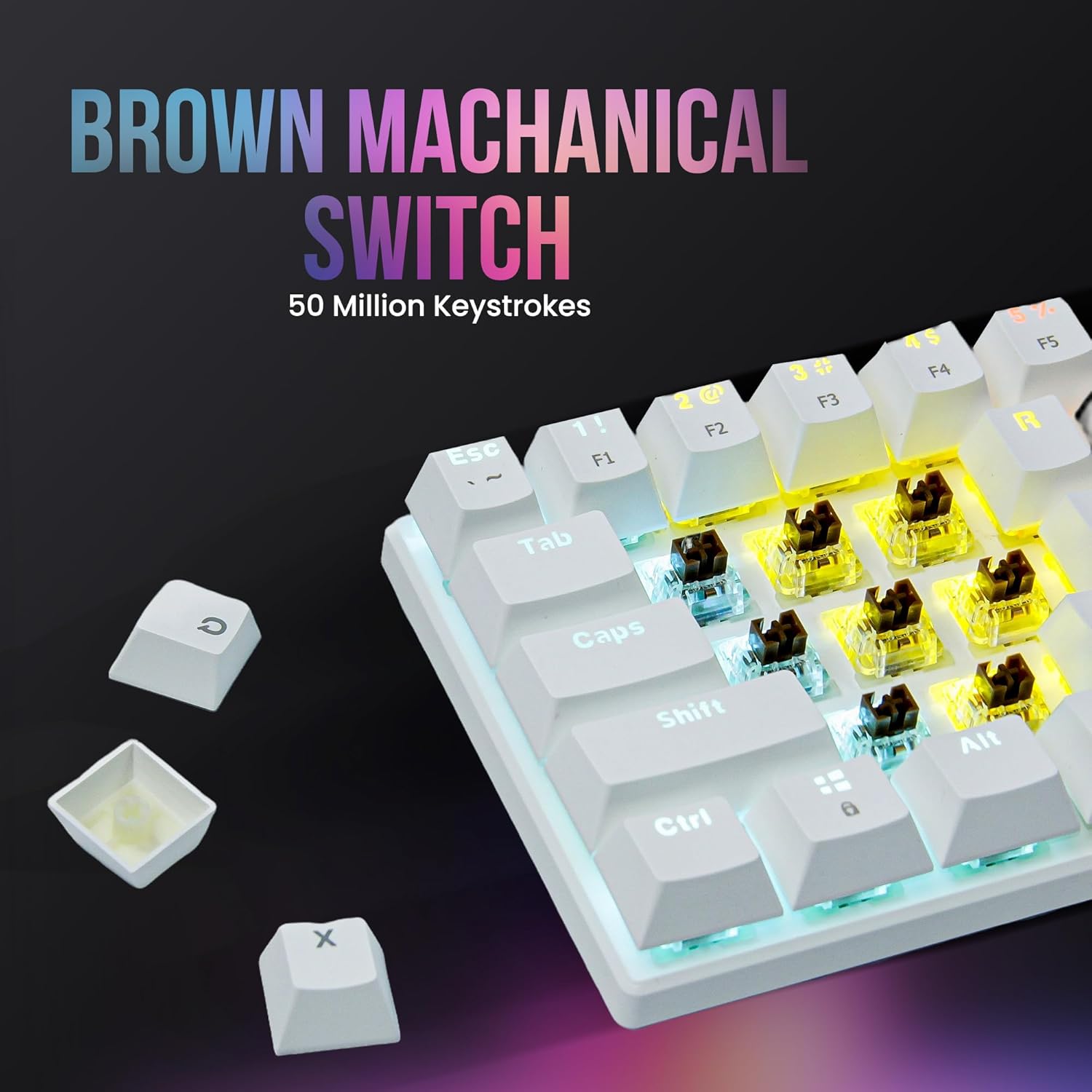 B0FB6PZWCY-image-1
