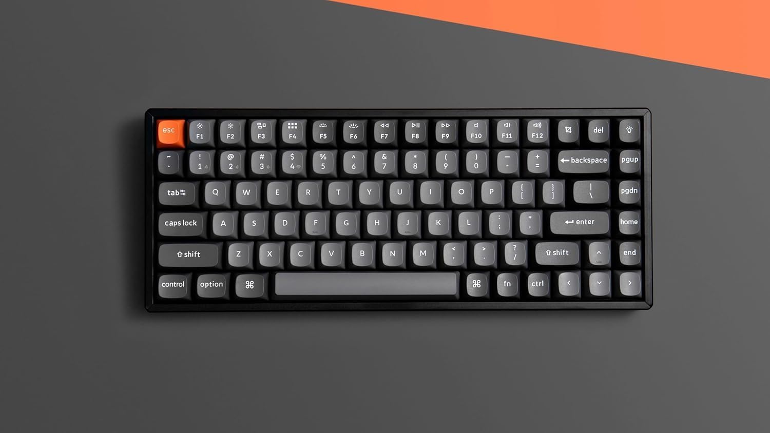 B0FCXKS82S-image-1