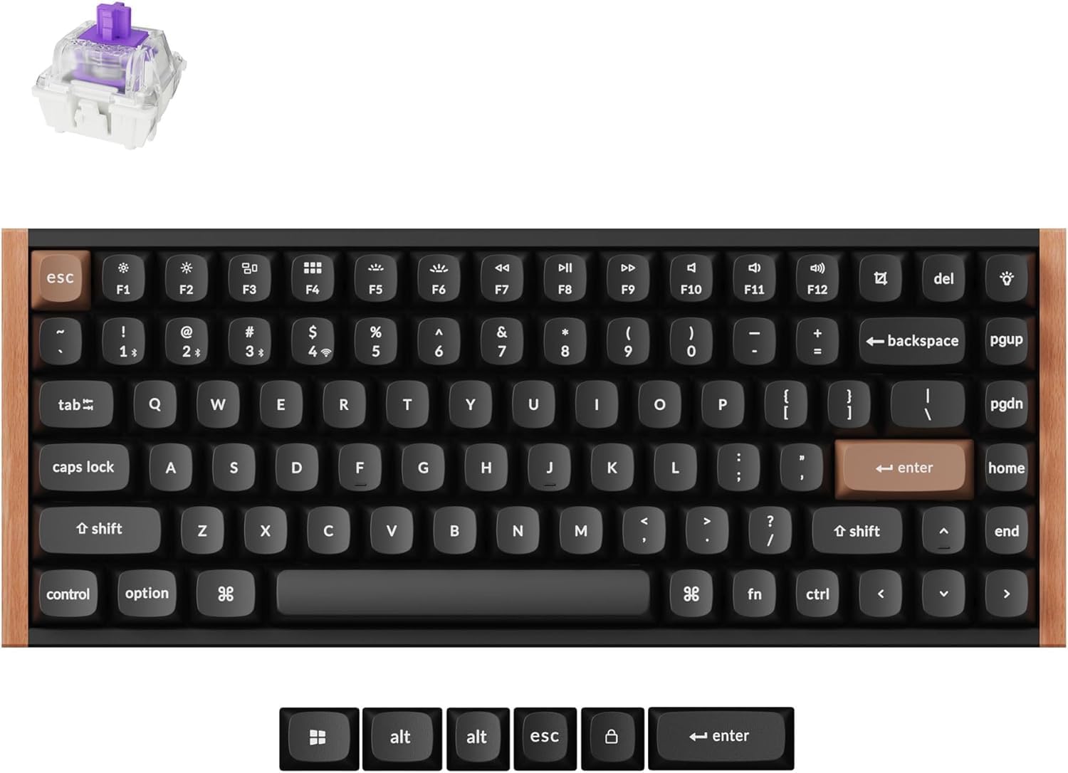 B0FCXPV2QP-image-0