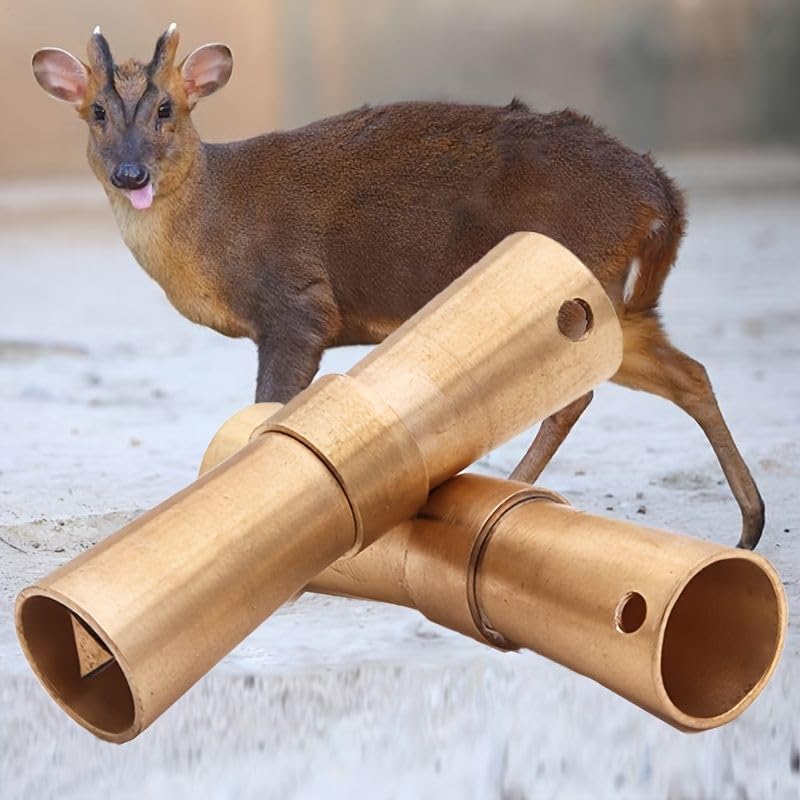 B0FP1TWNHB-image-1
