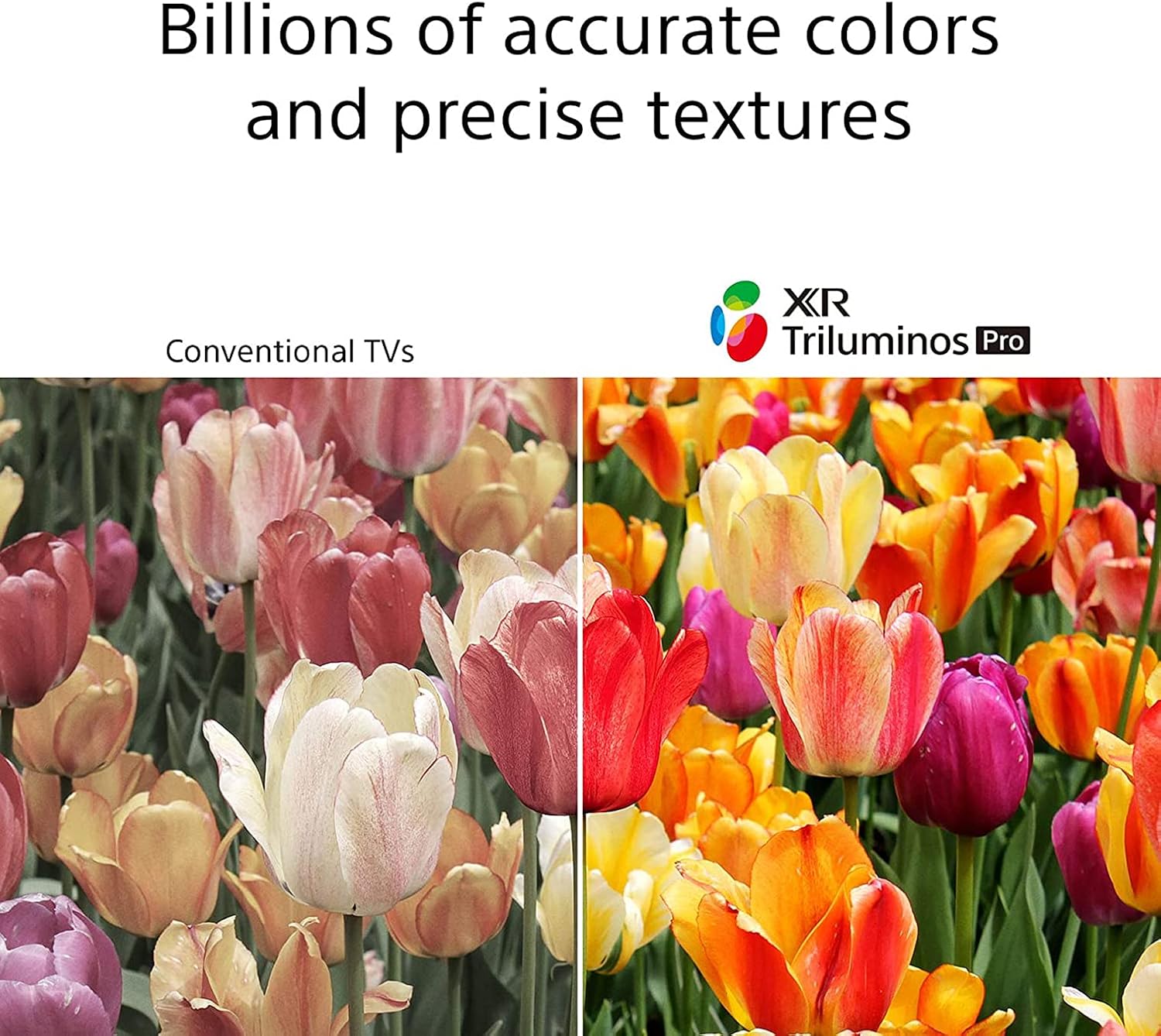 B0FVZ84K9Y-image-8